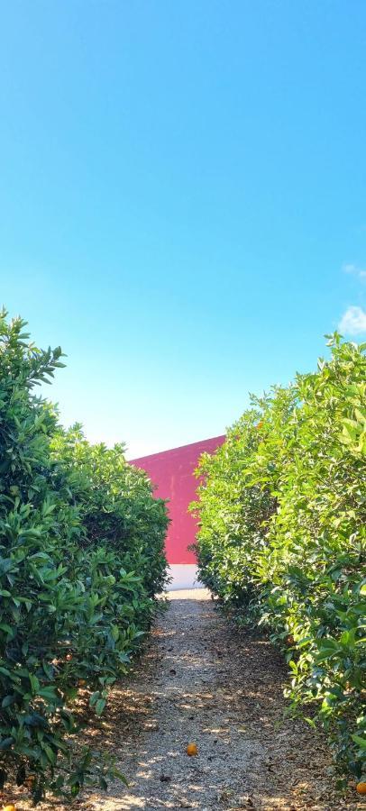 Quinta Dos I'S - Algarve Villa Ferrarias  Eksteriør billede